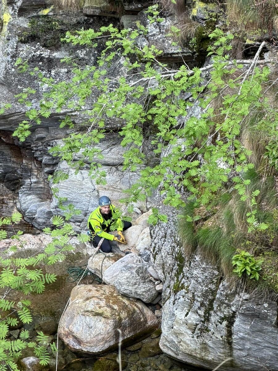Scomparso da quasi una settimana in alta Valsesia, cane ritrovato vicino al fiume e tratto in salvo