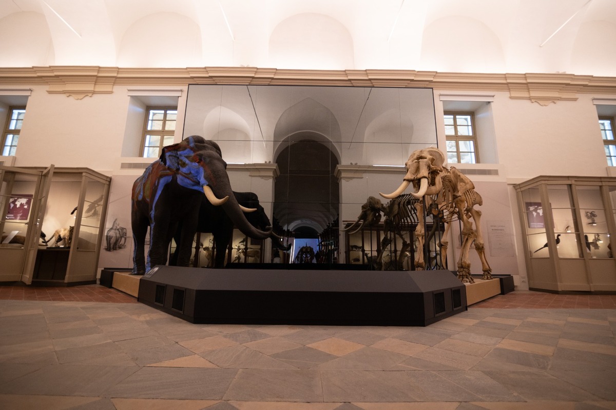 Piemonte, apre gratuitamente il Museo Regionale di Scienze Naturali ad agosto