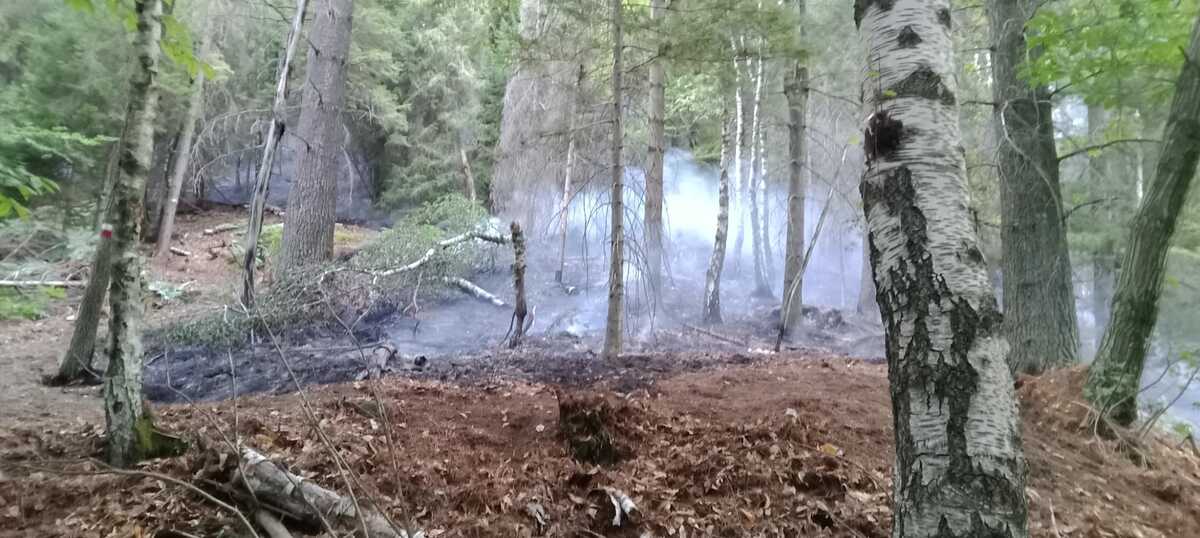 Roghi e incendi in Valsesia, in campo anche le squadre dell’AIB Biella