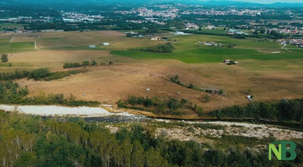 Vigliano, arriva la 2° Passeggiata di Primavera, si va in Baraggia (foto di repertorio) Vigliano, arriva la 2° Passeggiata di Primavera, si va in Baraggia (foto di repertorio)