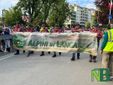96a Adunata Alpini a Biella 11 maggio, Sfila il Piemonte con le sue province FOTOGALLERY