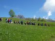 Passeggiata alle Salvine: domenica 18 maggio l'incontro fra cultura e natura