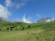Passeggiata alle Salvine: domenica 18 maggio l'incontro fra cultura e natura