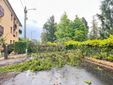 Maltempo a Biella, strada interrotta tra Barazzetto e Vandorno: cadono due alberi e tranciano i cavi elettrici