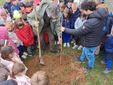 A Verrone si è festeggiata la Giornata Nazionale degli Alberi A Verrone si è festeggiata la Giornata Nazionale degli Alberi