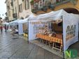 Al Mercatino degli Archi regali, artigianato e solidarietà a Biella FOTO Nicola Rasolo per newsbiella.it