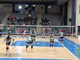 Seconda giornata del Bear Wool Volley 2026, i risultati in attesa della grande giornata di oggi FOTO Mattia Baù per newsbiella.it