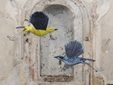 A Biella torna "Selvatica - Arte e Natura in Festival" alla 11° edizione