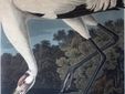 A Biella torna "Selvatica - Arte e Natura in Festival" alla 11° edizione