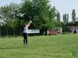 ACF Biellese, finisce 0-0 con Mappanese FOTO e VIDEO di Davide Finatti per newsbiella.it