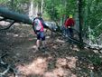 Trail della Diga, domenica 10 maggio la sfida tra sentieri e natura: oltre 250 iscritti