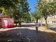 Biella, Lega: "Più controlli ai Giardini Zumaglini con la vigilanza rafforzata" Biella, Lega: "Più controlli ai Giardini Zumaglini con la vigilanza rafforzata"
