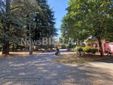 Biella, Lega: "Più controlli ai Giardini Zumaglini con la vigilanza rafforzata" Biella, Lega: "Più controlli ai Giardini Zumaglini con la vigilanza rafforzata"