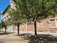 Biella, Lega: "Più controlli ai Giardini Zumaglini con la vigilanza rafforzata" Biella, Lega: "Più controlli ai Giardini Zumaglini con la vigilanza rafforzata"