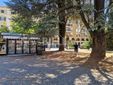 Biella, Lega: "Più controlli ai Giardini Zumaglini con la vigilanza rafforzata" Biella, Lega: "Più controlli ai Giardini Zumaglini con la vigilanza rafforzata"
