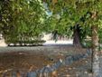 Biella, Lega: "Più controlli ai Giardini Zumaglini con la vigilanza rafforzata" Biella, Lega: "Più controlli ai Giardini Zumaglini con la vigilanza rafforzata"