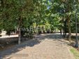 Biella, Lega: "Più controlli ai Giardini Zumaglini con la vigilanza rafforzata" Biella, Lega: "Più controlli ai Giardini Zumaglini con la vigilanza rafforzata"