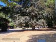 Biella, Lega: "Più controlli ai Giardini Zumaglini con la vigilanza rafforzata" Biella, Lega: "Più controlli ai Giardini Zumaglini con la vigilanza rafforzata"