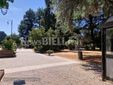 Biella, Lega: "Più controlli ai Giardini Zumaglini con la vigilanza rafforzata" Biella, Lega: "Più controlli ai Giardini Zumaglini con la vigilanza rafforzata"
