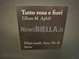 Biella, l’arte incontra l’alto artigianato con “Fatti ad Arte” FOTO e VIDEO Angela Lobefaro per newsbiella.it