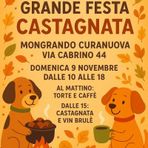 Bulli e Pupe con la Coda vi aspetta al Charity shop a Mongrando Bulli e Pupe con la Coda vi aspetta al Charity shop a Mongrando