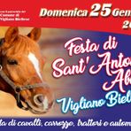 Festa di Sant’Antonio Abate: tradizione, fede e sfilata nel cuore di Vigliano
