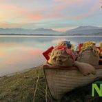 Ultimo avviso per "Natale a Viverone": il 6 gennaio arriva la befana Ultimo avviso per "Natale a Viverone": il 6 gennaio arriva la befana