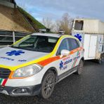 Caprioli allo svincolo di Vercelli Est: in corso operazioni di recupero