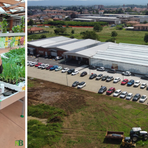 Funghi, insetti e malattie: i consigli di Gardenville per difendere l’orto in modo naturale