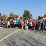8 marzo, passeggiata solidale a Vigliano Biellese: sono 300 alla partenza - Servizio di Massimo Giacobbe per newsbiella.it 8 marzo, passeggiata solidale a Vigliano Biellese: sono 300 alla partenza - Servizio di Massimo Giacobbe per newsbiella.it