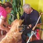 Maverick ha tenuto compagnia agli ospiti nell' RSA a Ronco Biellese