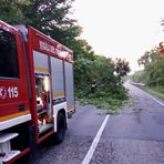 Pianta sulla strada, Vigili del Fuoco in azione sulla Settimo Vittone (foto di repertorio)