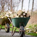 Viverone, c’è l’ordinanza: dai cittadini taglio rami e siepi prospicenti le strade e pulizia dei terreni incolti