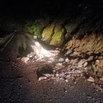 Maltempo, detriti e sassi sulla strada per San Paolo Cervo: alberi a terra tra Veglio e Pettinengo