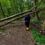 Gorgomoro, sentiero di nuovo accessibile dopo l’intervento dei volontari AIB Biella Orso FOTO AIB Biella Orso