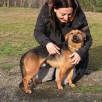 Dolce Rocky, quante ne ha passate...gli troviamo una sua famiglia per sempre?