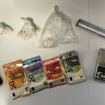 Centro di spaccio nei boschi di Biella: arrestato con cocaina e contanti Centro di spaccio nei boschi di Biella: arrestato con cocaina e contanti