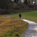 Su e giù per le rive di Soprana, è in partenza a Valdilana la camminata enogastronomica (foto di repertorio)