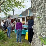Arte e Artigianato sul Lago di Viverone FOTO Davide Finatti per newsbiella.it