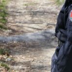 Sordevolo, brucia residui di felci vicino al bosco: multa da 400 euro