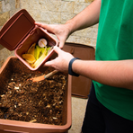 Mottalciata, corso gratuito sul compostaggio domestico