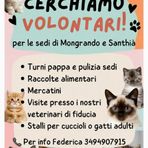 A-Mici Bau: "Cerchiamo volontari per le sedi di Mongrando e Santhià"