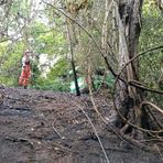 Biella, incendio di sottobosco tra Pavignano, Vaglio e Colma Biella, incendio di sottobosco tra Pavignano, Vaglio e Colma