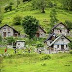 Conto alla rovescia per la passeggiata solidale all’Alpe Artignaga (foto di repertorio) Conto alla rovescia per la passeggiata solidale all’Alpe Artignaga (foto di repertorio)