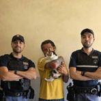Dal Nord Ovest - Il gattino Noah intrappolato in un garage per due giorni, salvato dalla Polizia Dal Nord Ovest - Il gattino Noah intrappolato in un garage per due giorni, salvato dalla Polizia
