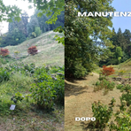 Parco Burcina, proseguono gli interventi di manutenzione del verde Parco Burcina, proseguono gli interventi di manutenzione del verde