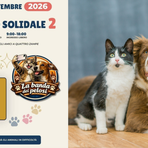 Torna a Biella il Mercatino Solidale, per gli amici a quattro zampe Torna a Biella il Mercatino Solidale, per gli amici a quattro zampe