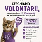 A-Mici Bau cerca volontari, e tu cosa aspetti?