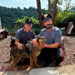 Cane in fuga lungo la strada principale, riportato a casa dai Carabinieri