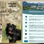 Cani salvati e adottati, a Sandigliano il primo grande raduno dei rescue Cani salvati e adottati, a Sandigliano il primo grande raduno dei rescue